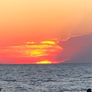 Meet your Posher, Brenna